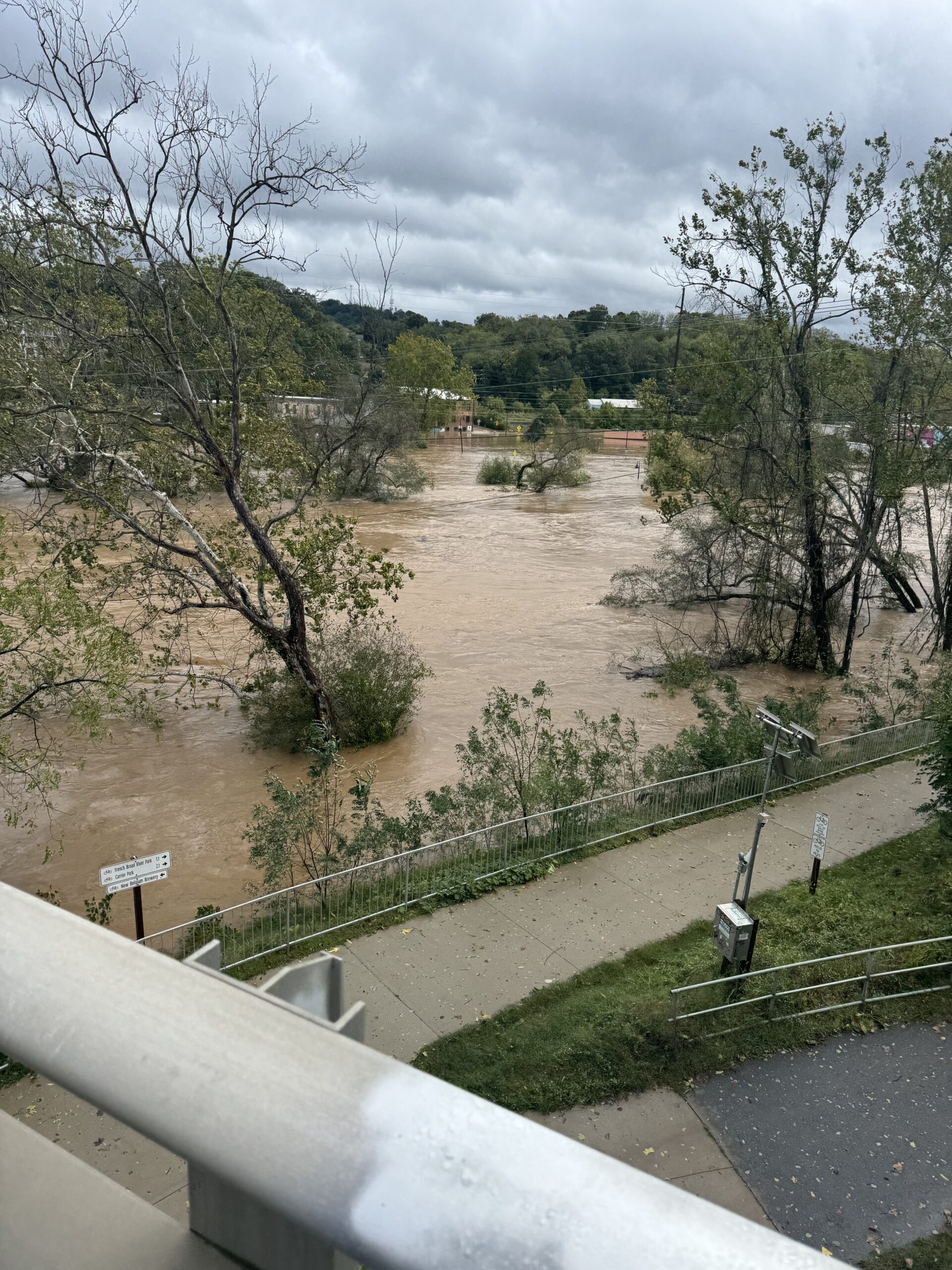my view from the River Link Bridge that goes over the French Broad