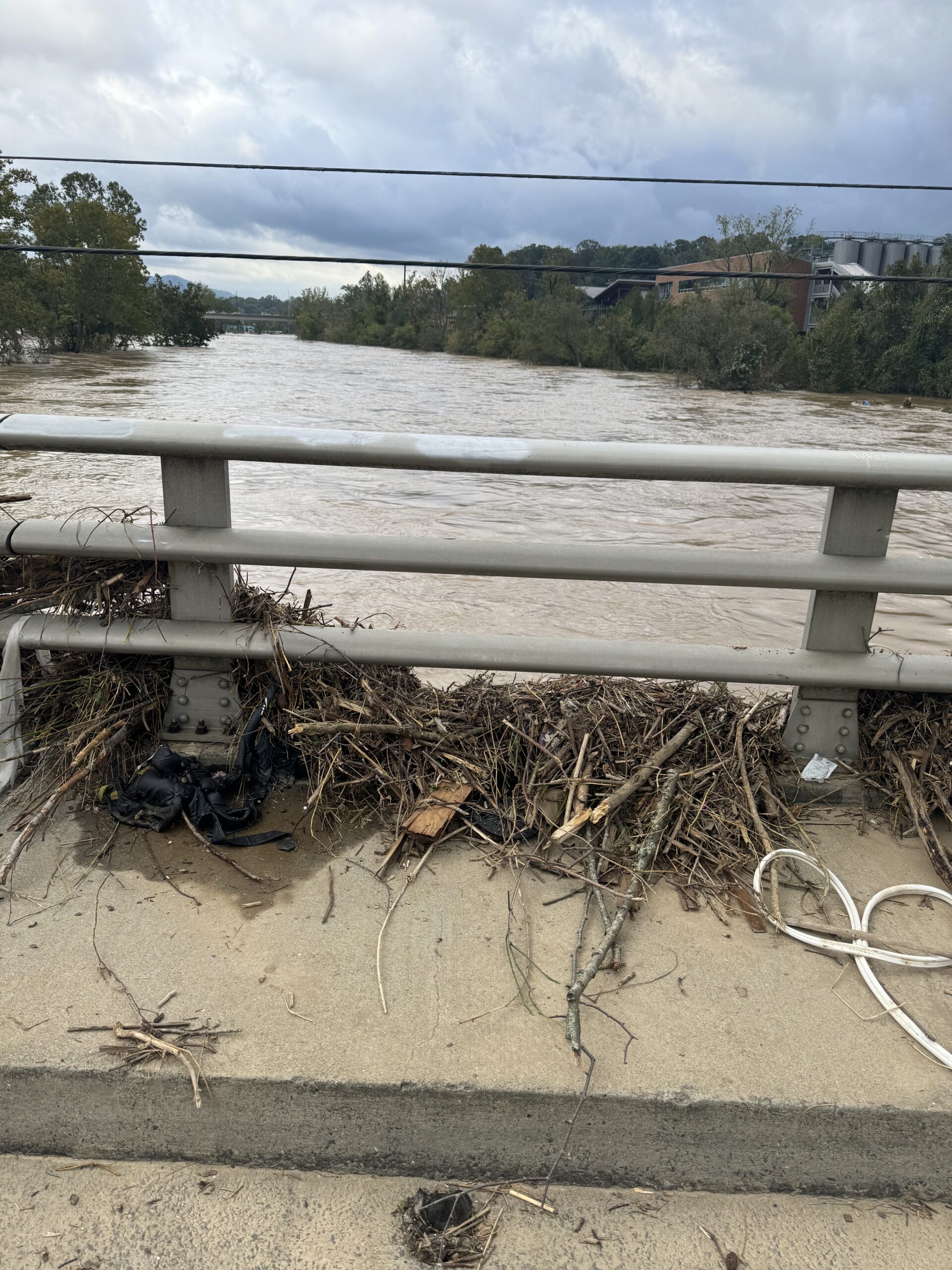 River Link Bridge pic