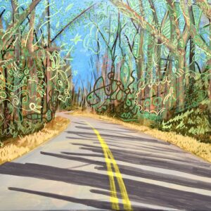 Blue Ridge Parkway in spring (collab between myself and Aaron Fields)