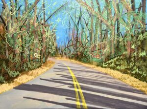 Blue Ridge Parkway in spring (collab between myself and Aaron Fields)