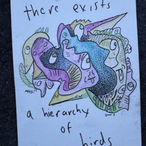 'hierarchy of birds' original doodle